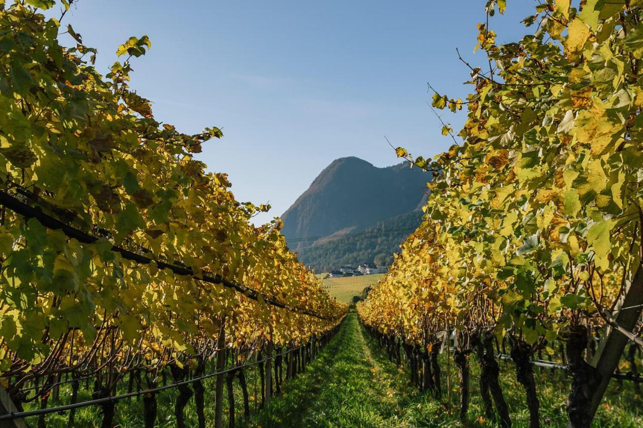 Strahlerhof Apartment Appiano Sulla Strada Del Vino Exterior foto