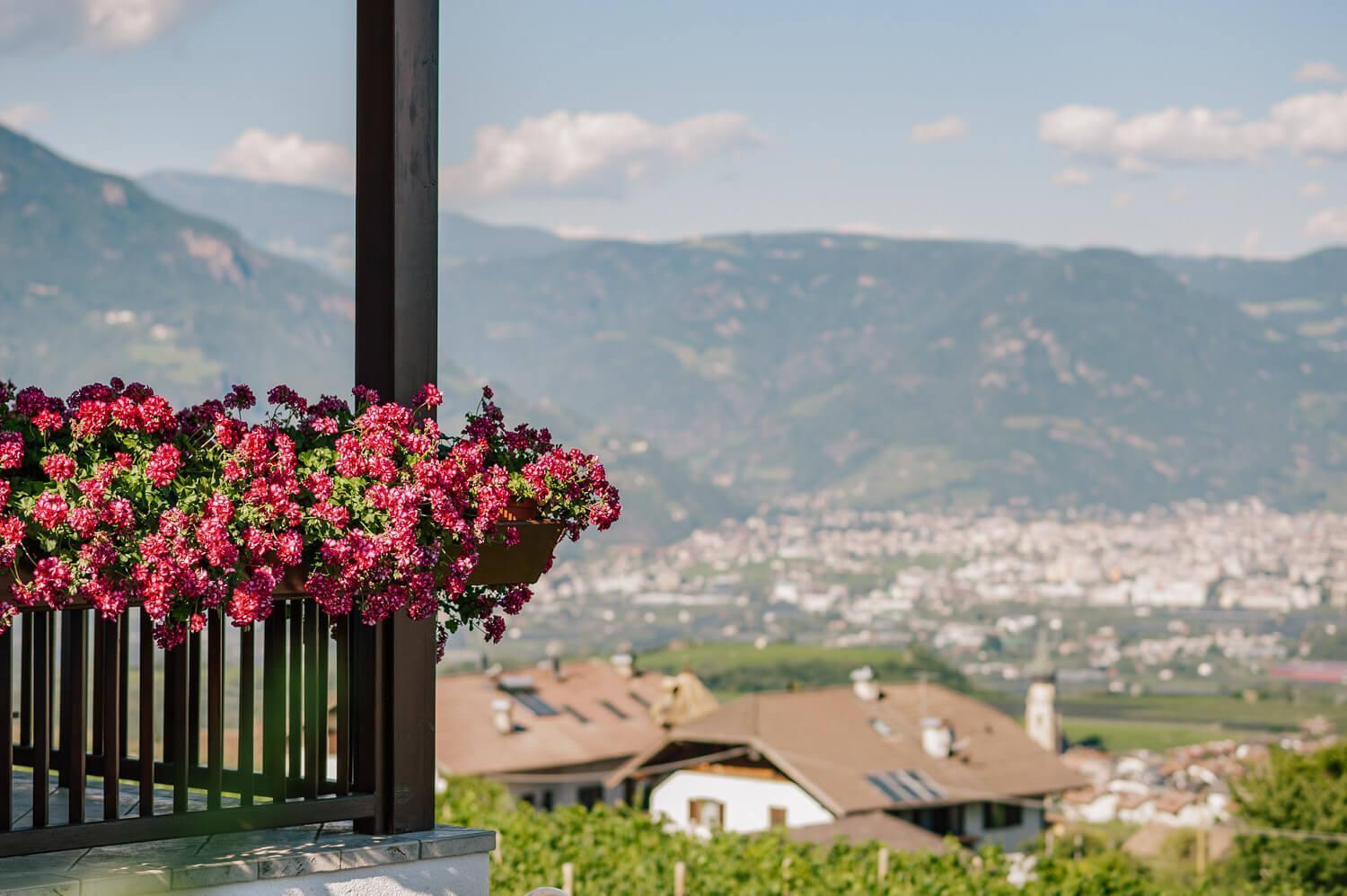 Strahlerhof Apartment Appiano Sulla Strada Del Vino Exterior foto